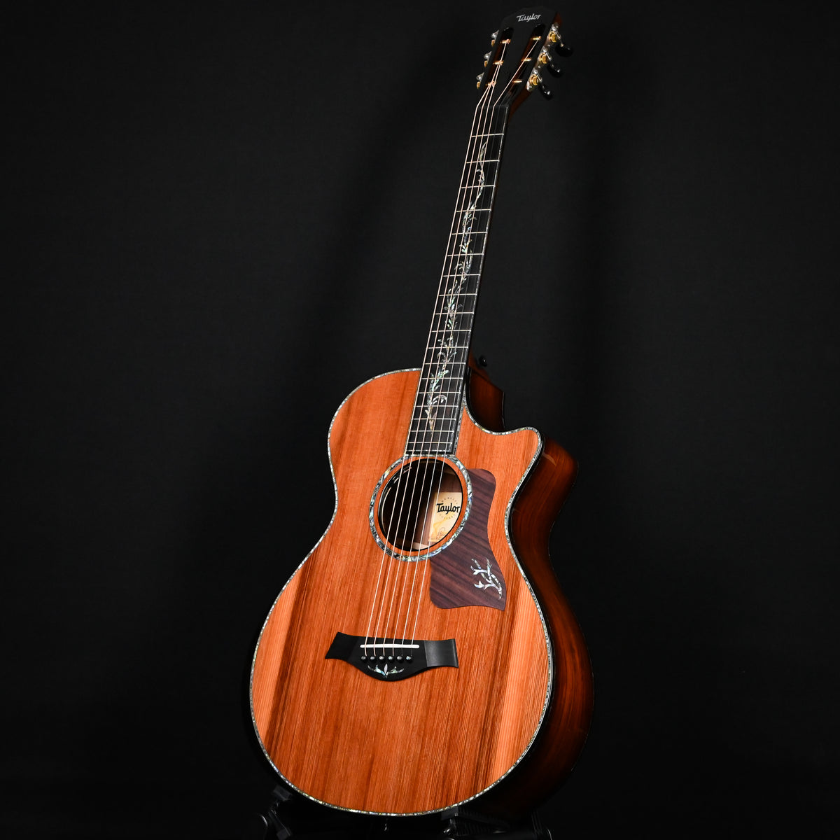 Taylor Next Generation PS12ce 12-fret Acoustic/ Electric Guitar 2026 (1207316099)