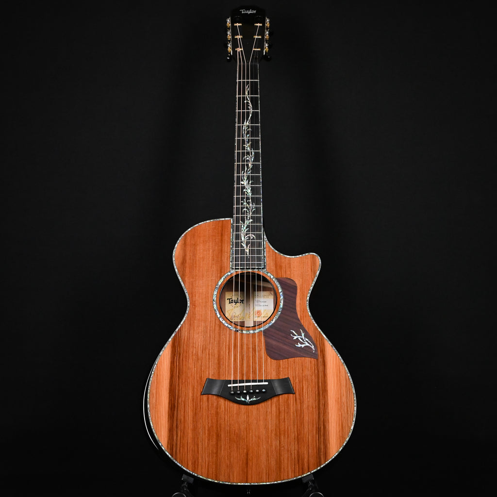 Taylor Next Generation PS12ce 12-fret Acoustic/ Electric Guitar 2026 (1207316099)