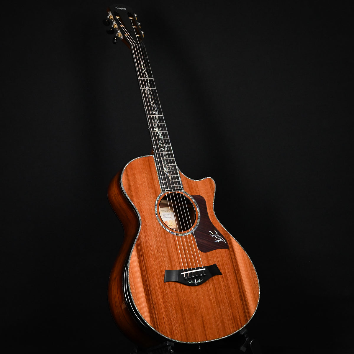 Taylor Next Generation PS12ce 12-fret Acoustic/ Electric Guitar 2026 (1207316099)