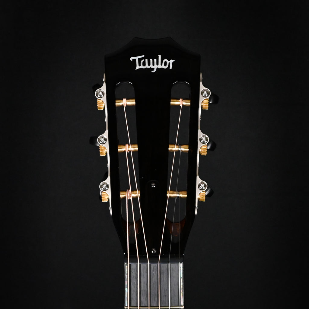Taylor Next Generation PS12ce 12-fret Acoustic/ Electric Guitar 2026 (1207316099)