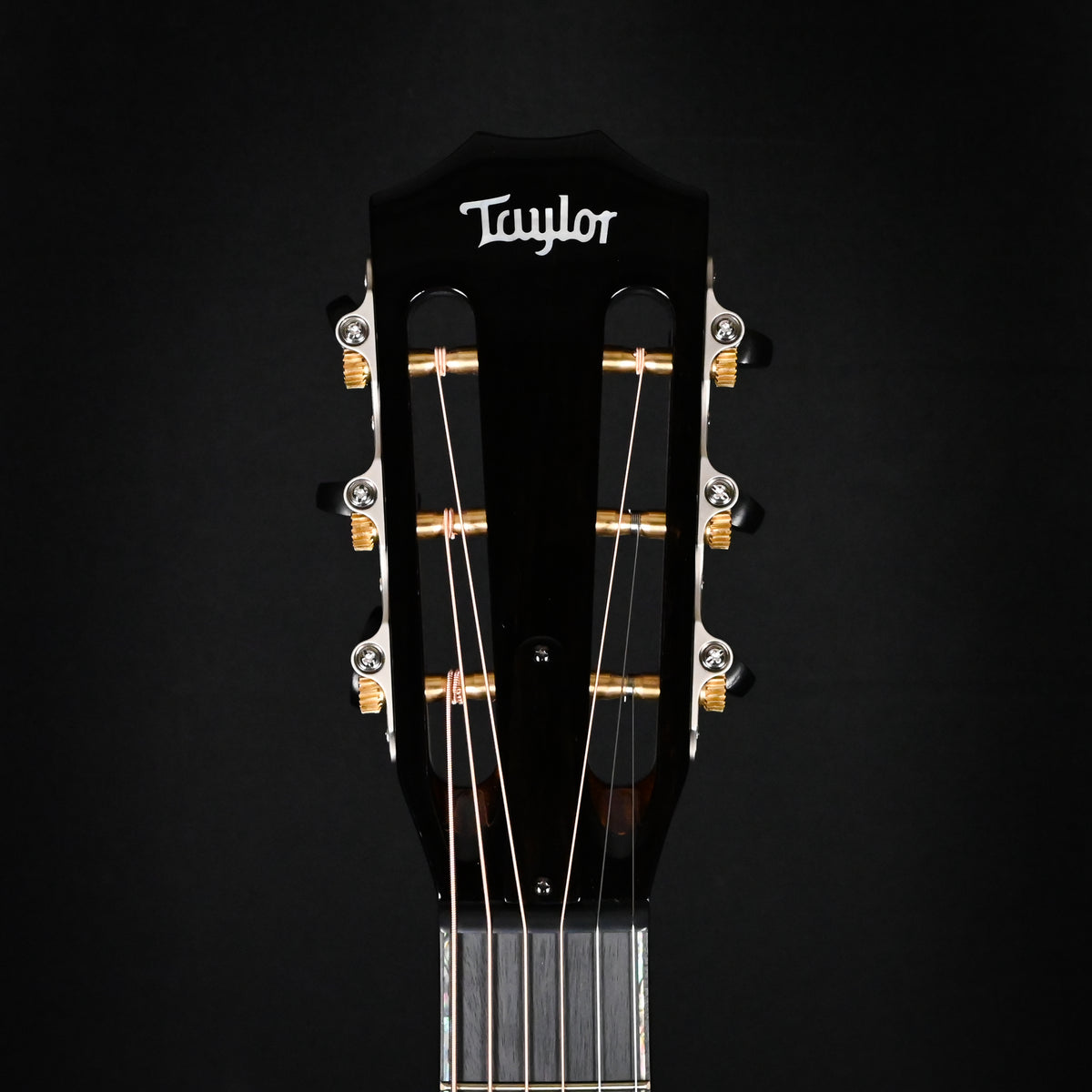 Taylor Next Generation PS12ce 12-fret Acoustic/ Electric Guitar 2026 (1207316099)