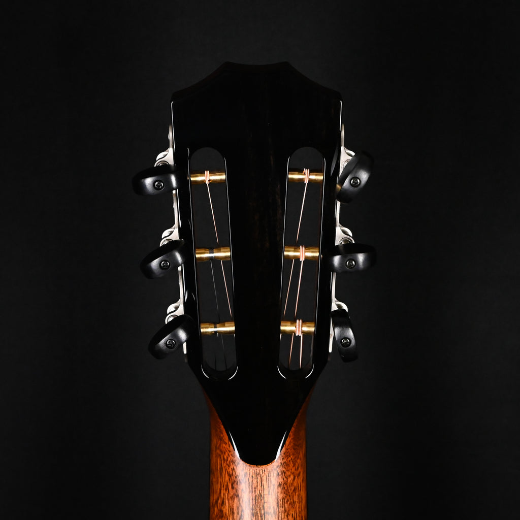 Taylor Next Generation PS12ce 12-fret Acoustic/ Electric Guitar 2026 (1207316099)