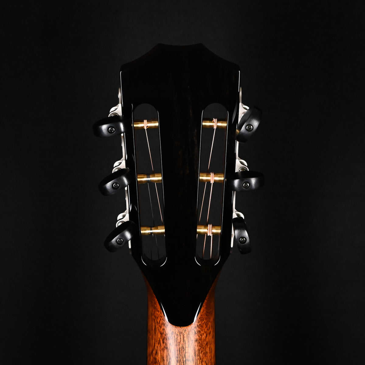 Taylor Next Generation PS12ce 12-fret Acoustic/ Electric Guitar 2026 (1207316099)