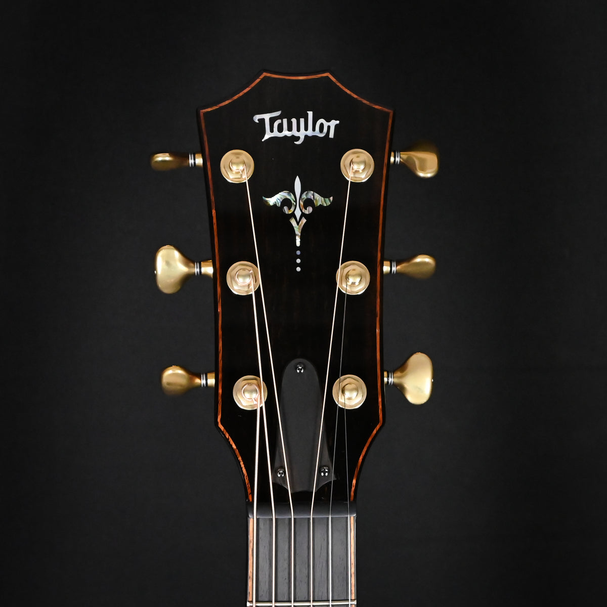 Taylor Next Generation Builder's Edition 914ce w/ Lutz Spruce Top & Indian Rosewood Back and Sides Acoustic/ Electric 2026 (1208206062)