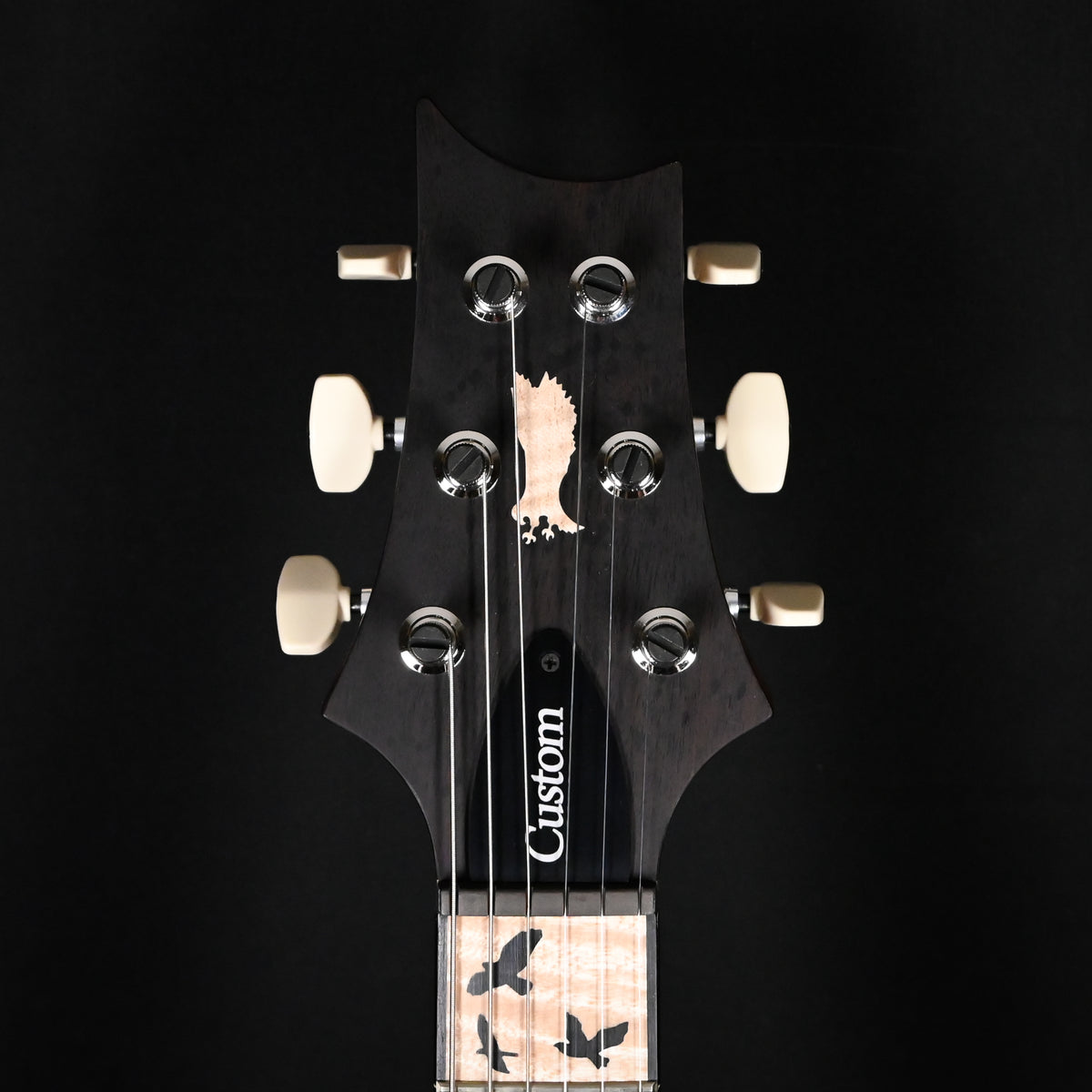 PRS Custom 24 "Birds Of A Feather" Limited Edition- Charcoal Microburst 2026 (0428884)