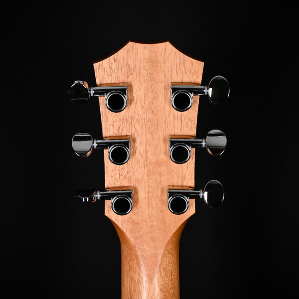 Taylor Guitars 4 Vets GS Mini Americana Special Edition 2025 (2208195159)