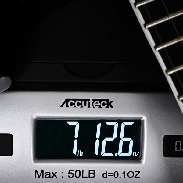 PRS SE Mark Holcomb Signature 6-String Electric Guitar - Holcomb Blue Burst 2025 (CTIG110981)