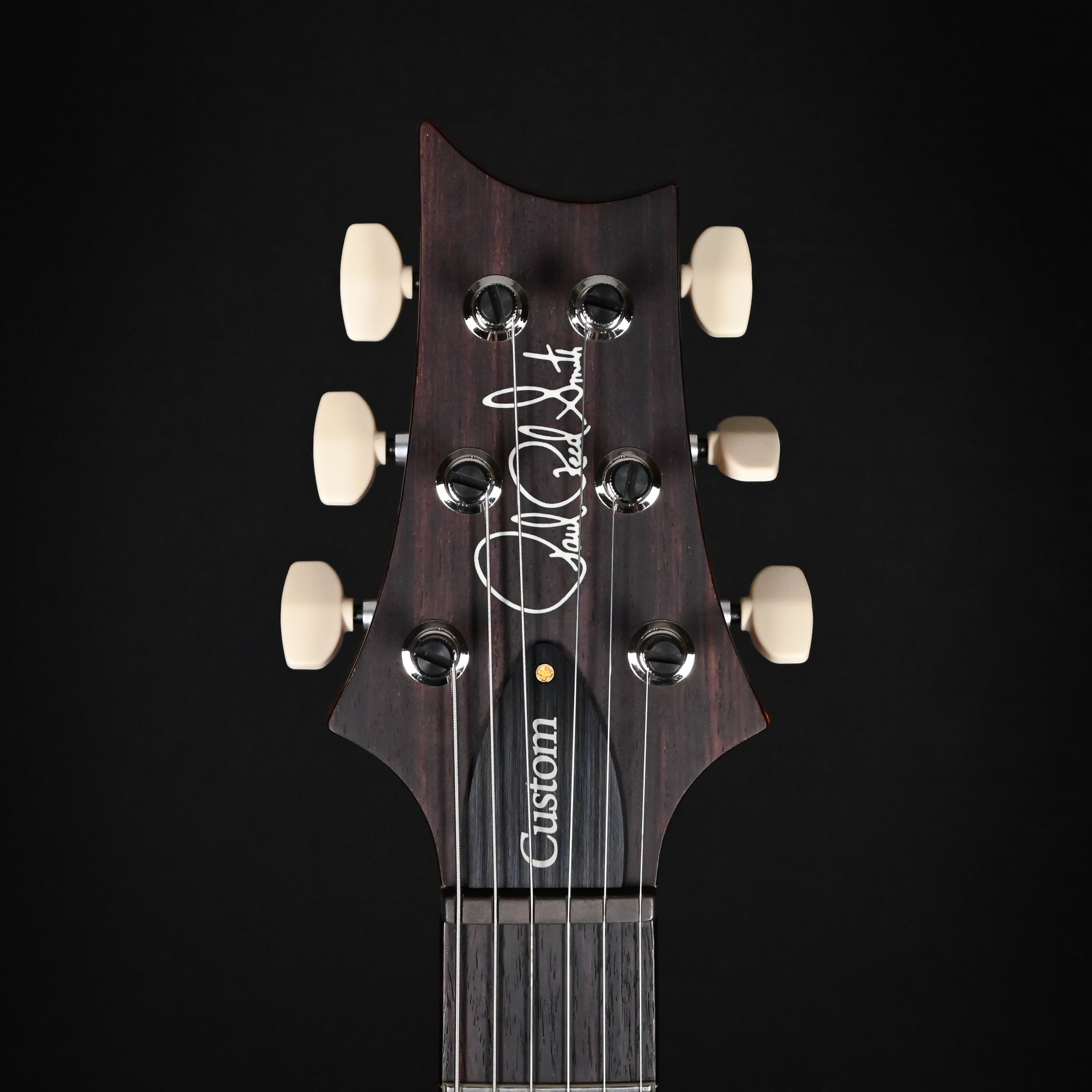 PRS Custom 24 Piezo w/ 10-Top & DMO Pickups Electric Guitar- Aurora Borealis 2026 (0415143)