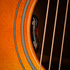 files/DSC_2429_b50f4ec4-5a7f-4f73-b132-926fe36f5138.jpg