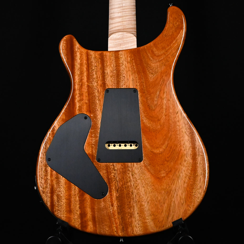 PRS Custom 24 Piezo Wood Library w/ 10-Top & Brazilian Rosewood- Blue Fade (Natural Back) 2026 (0434576)