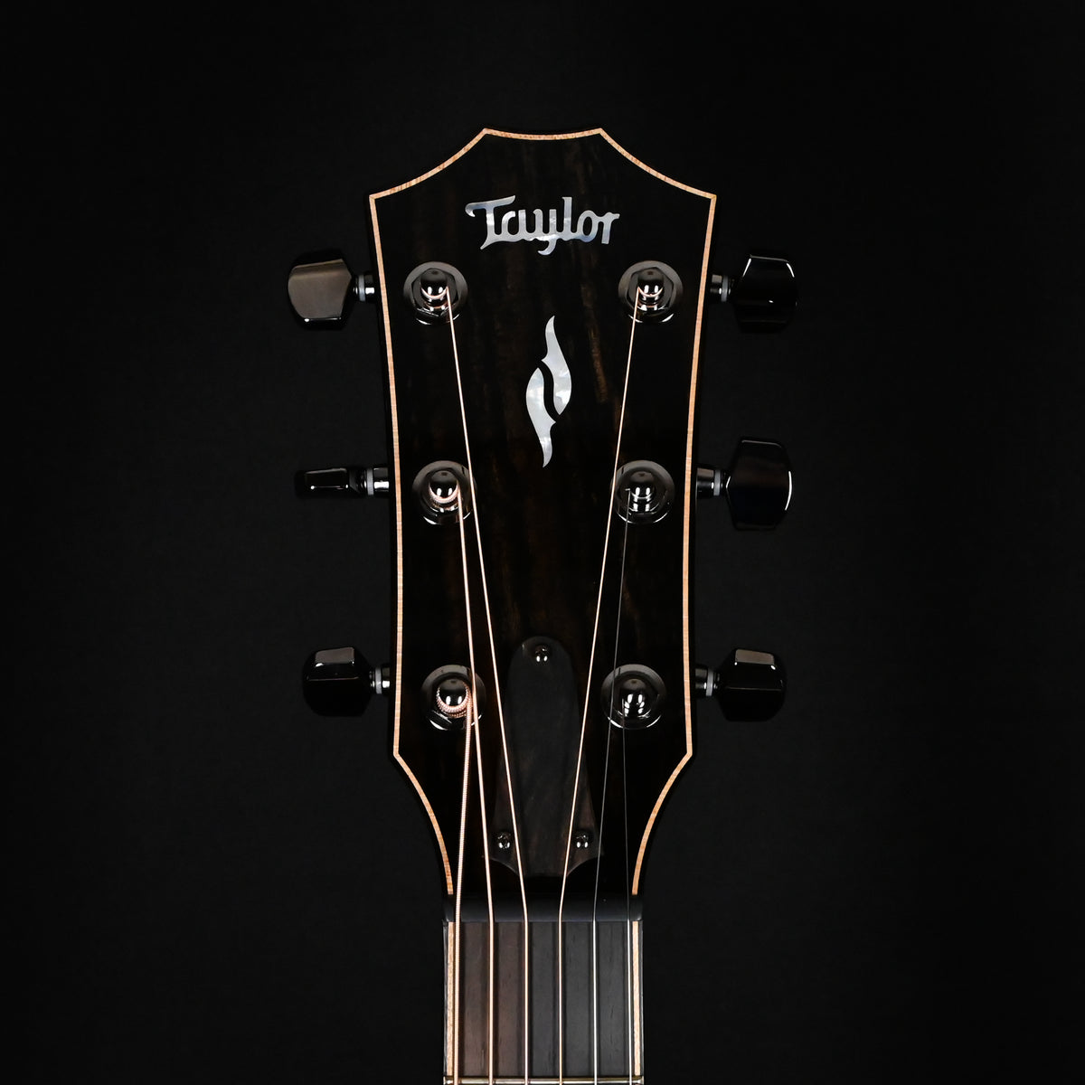 Taylor Next Generation 814ce w/ Sitka Spruce Top & Indian Rosewood Back and Sides Acoustic-Electric Guitar 2026 (1208076051)