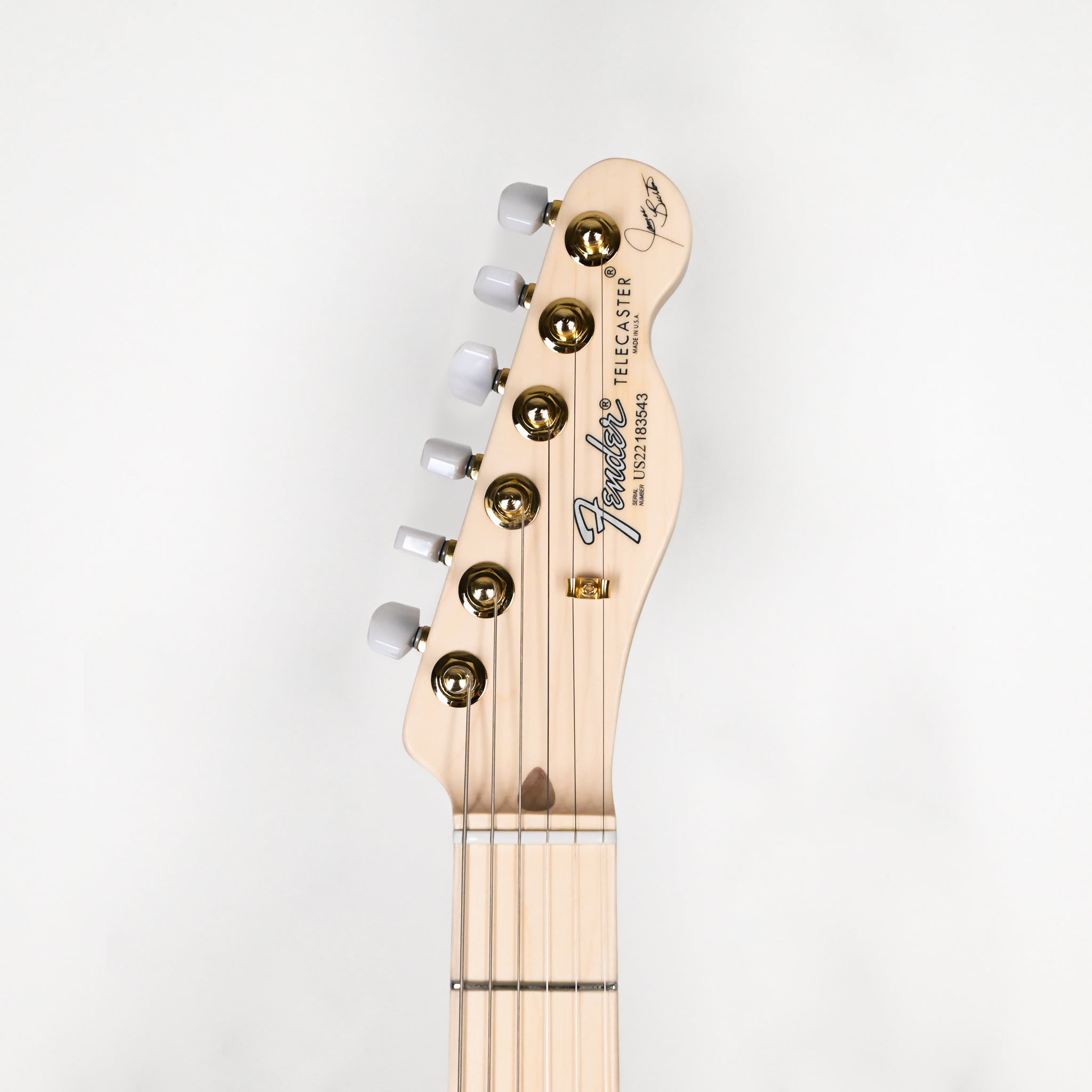 Fender James Burton Telecaster w/ Maple Fingerboard- Blue Paisley Flames (US22183543)
