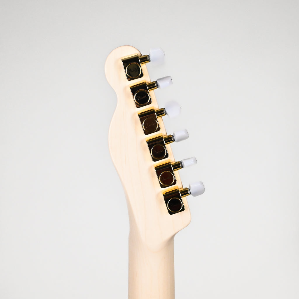 Fender James Burton Telecaster w/ Maple Fingerboard- Blue Paisley Flames (US22183543)