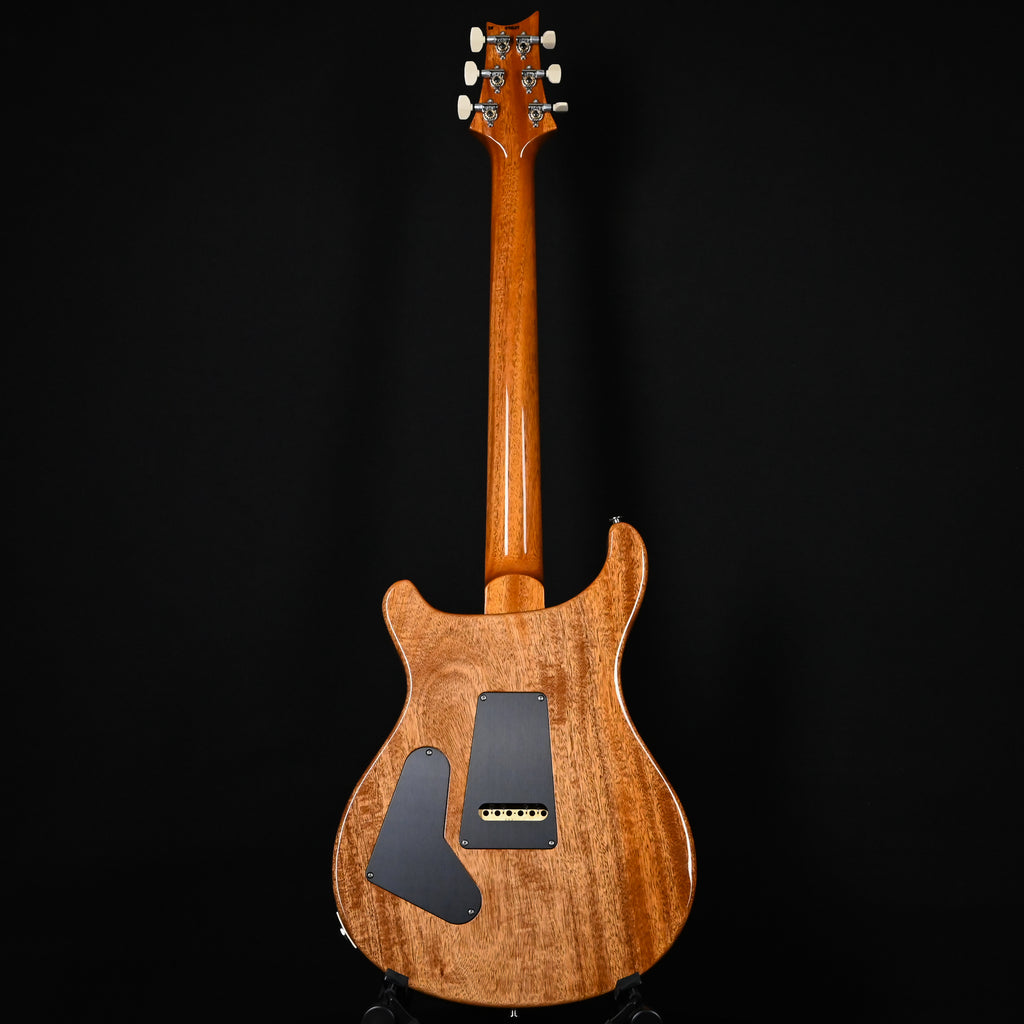 PRS Custom 24 w/ DMO Pickups- Custom Color 2025 (0412117)