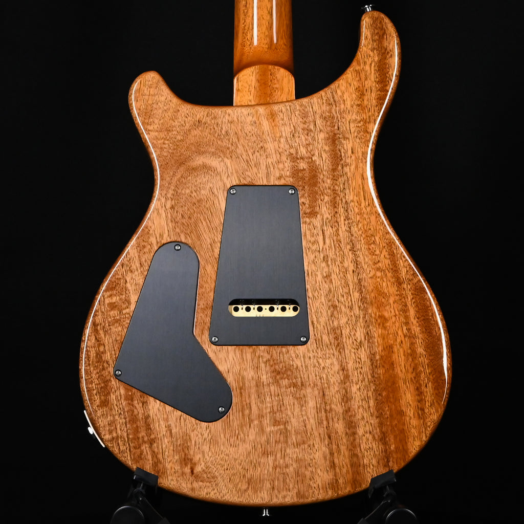 PRS Custom 24 w/ DMO Pickups- Custom Color 2025 (0412117)
