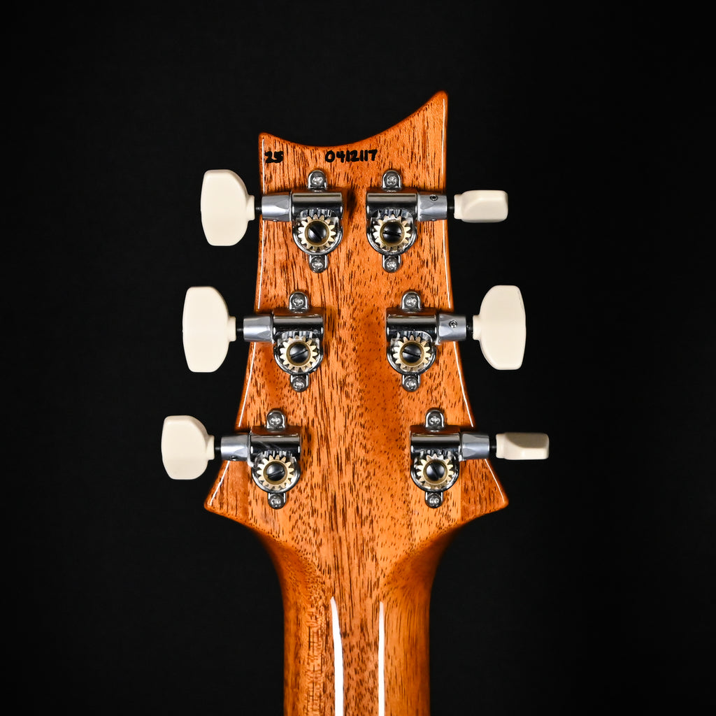 PRS Custom 24 w/ DMO Pickups- Custom Color 2025 (0412117)