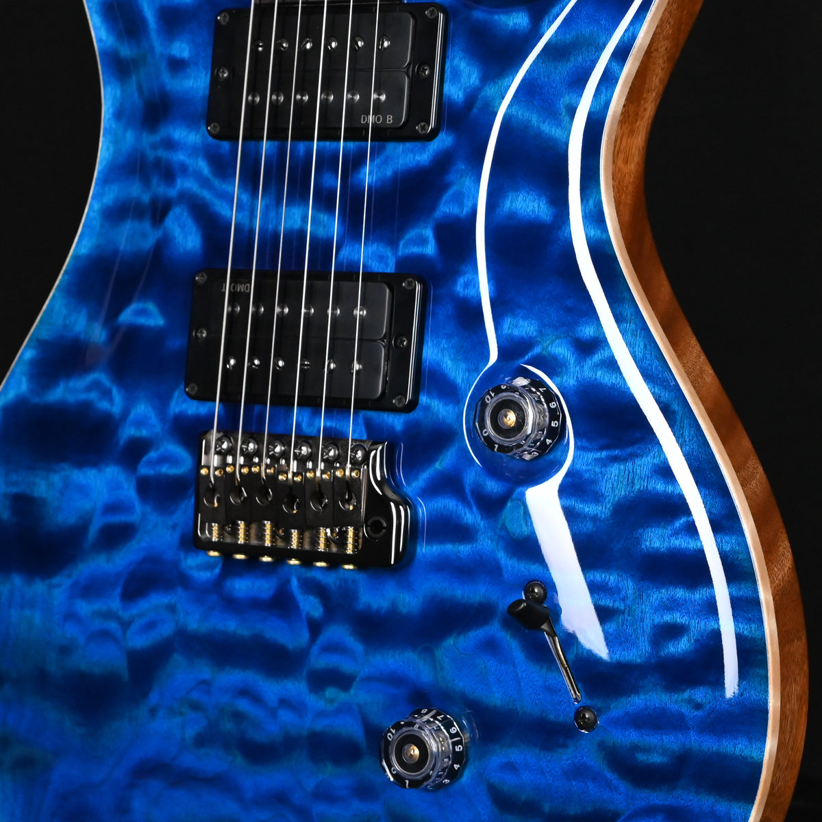 PRS Custom 24 Wood Library w/ Brazilian Rosewood, & DMO Pickups- Aquamarine (Natural Back) 2026 (0434663)