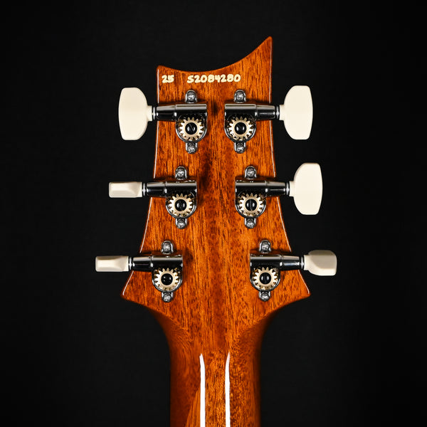 PRS S2 Custom 24 Electric Guitar- Vintage Natural 2025 (S2084280)