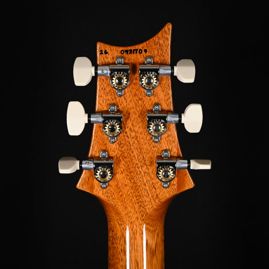 PRS Custom 24 "Birds of a Feather" Limited Edition- Charcoal Microburst 2026 (0431709)