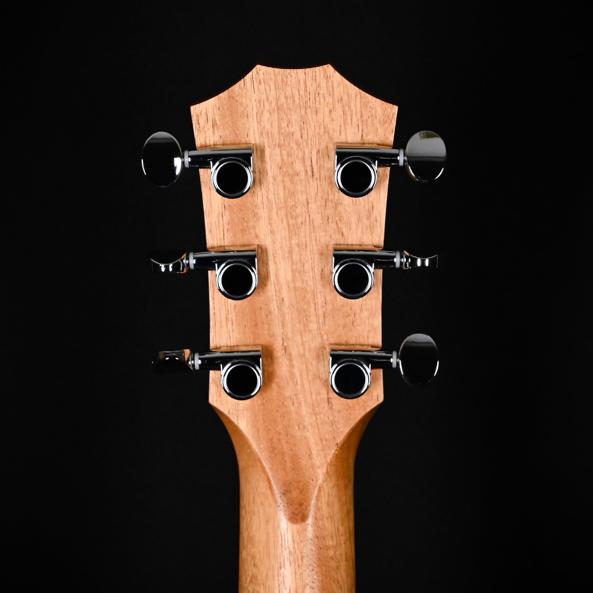 Taylor GS Mini w/ Neo-Tropical Mahogany Top & Layered Sapele Back and Sides Acoustic Guitar 2025 (2212195279)