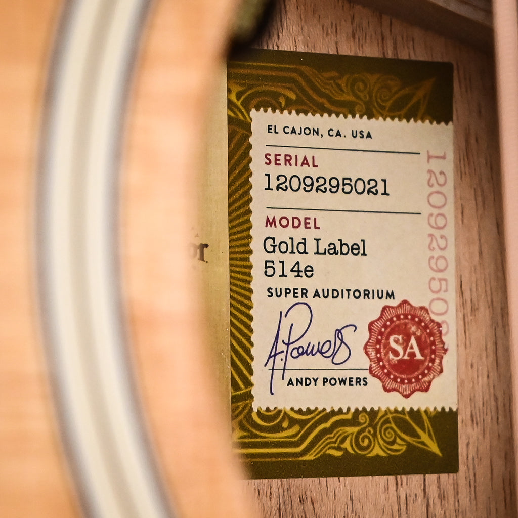 Taylor Gold Label 514e w/ Sitka Spruce Top & Tropical Mahogany Back and Sides Acoustic-Electric Guitar 2025 (1209295021)
