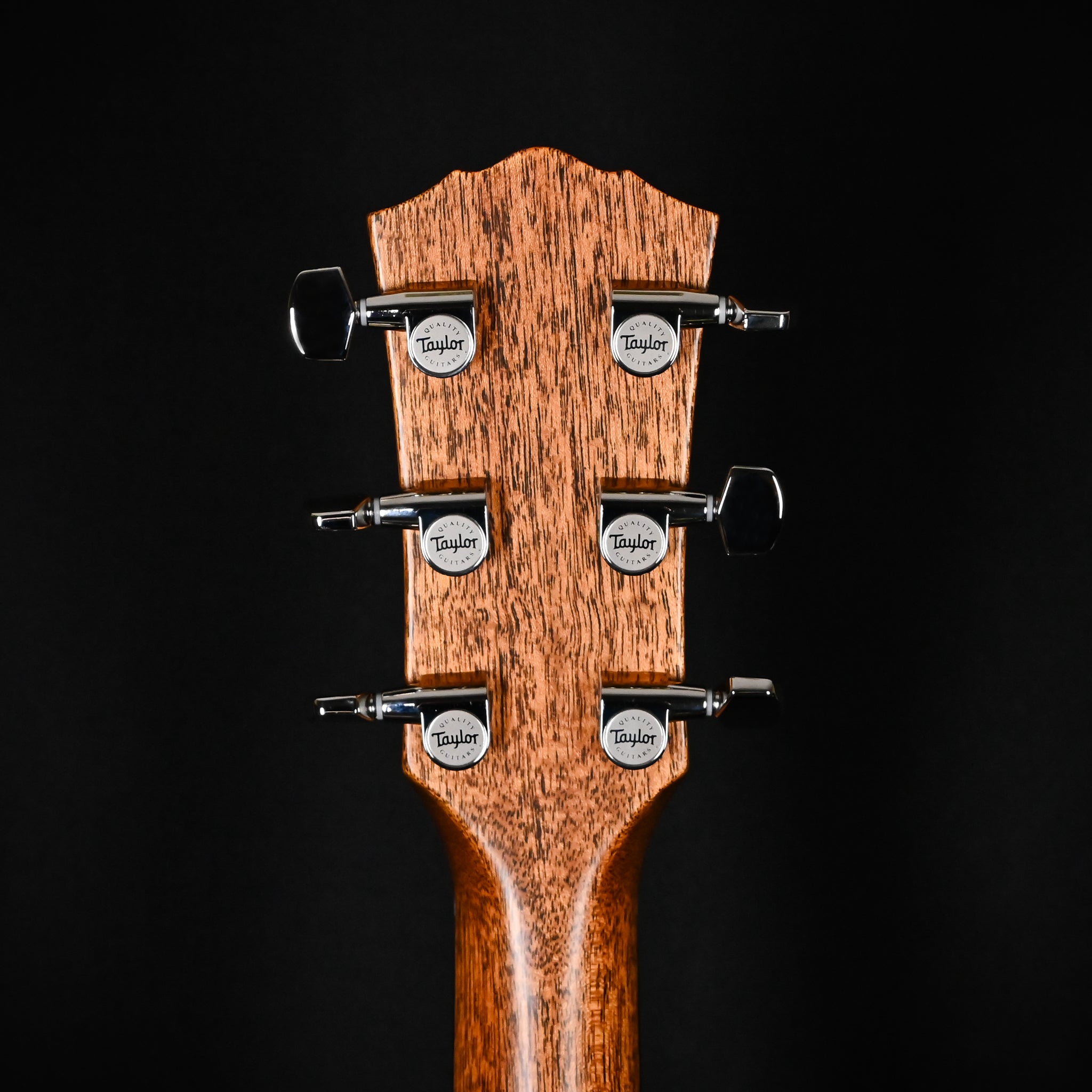 Taylor Gold Label 514e w/ Sitka Spruce Top & Tropical Mahogany Back and Sides Acoustic-Electric Guitar 2025 (1209295021)
