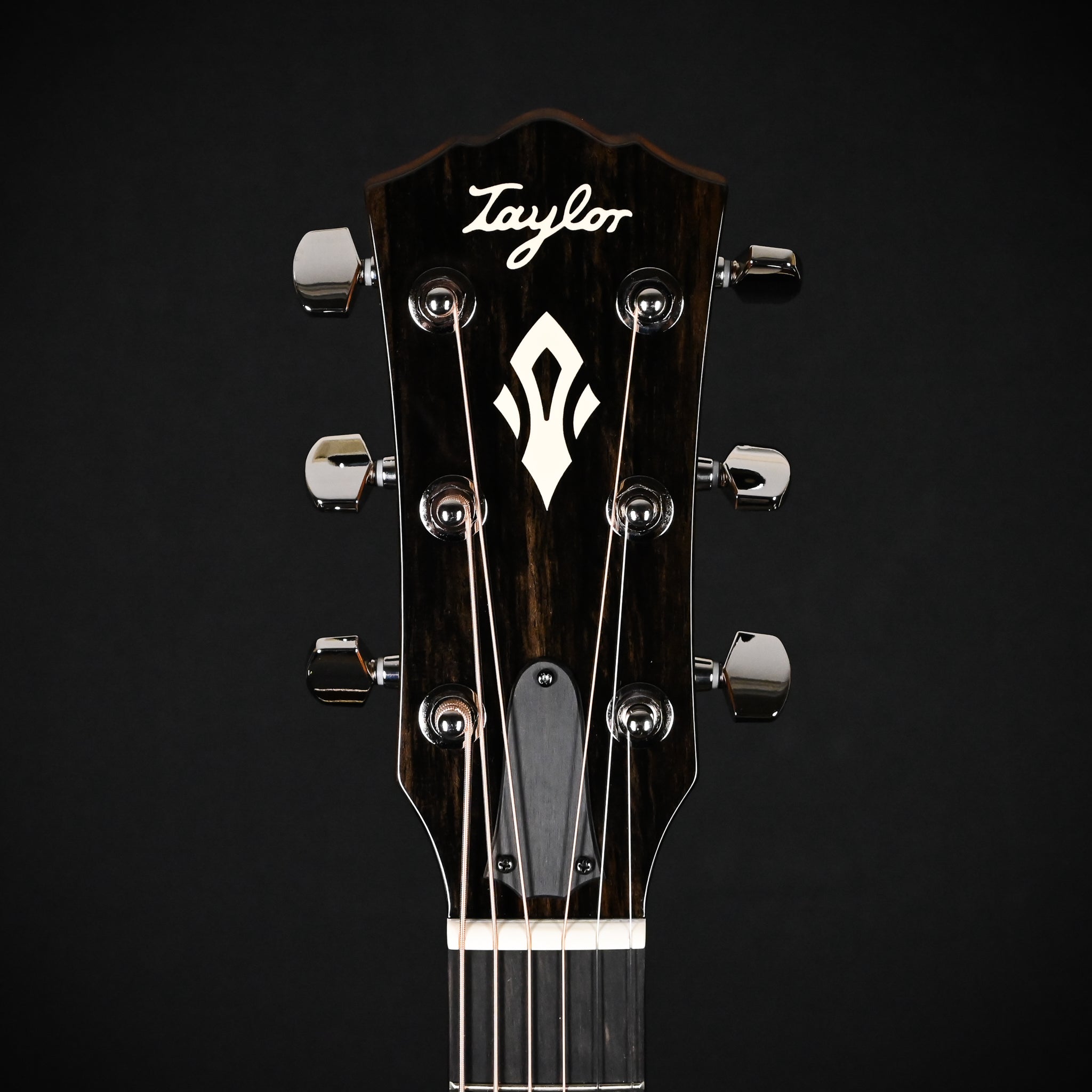 Taylor Gold Label 714e w/ Sitka Spruce Top & Indian Rosewood Back and Sides Acoustic-Electric Guitar 2025 (1208185037)