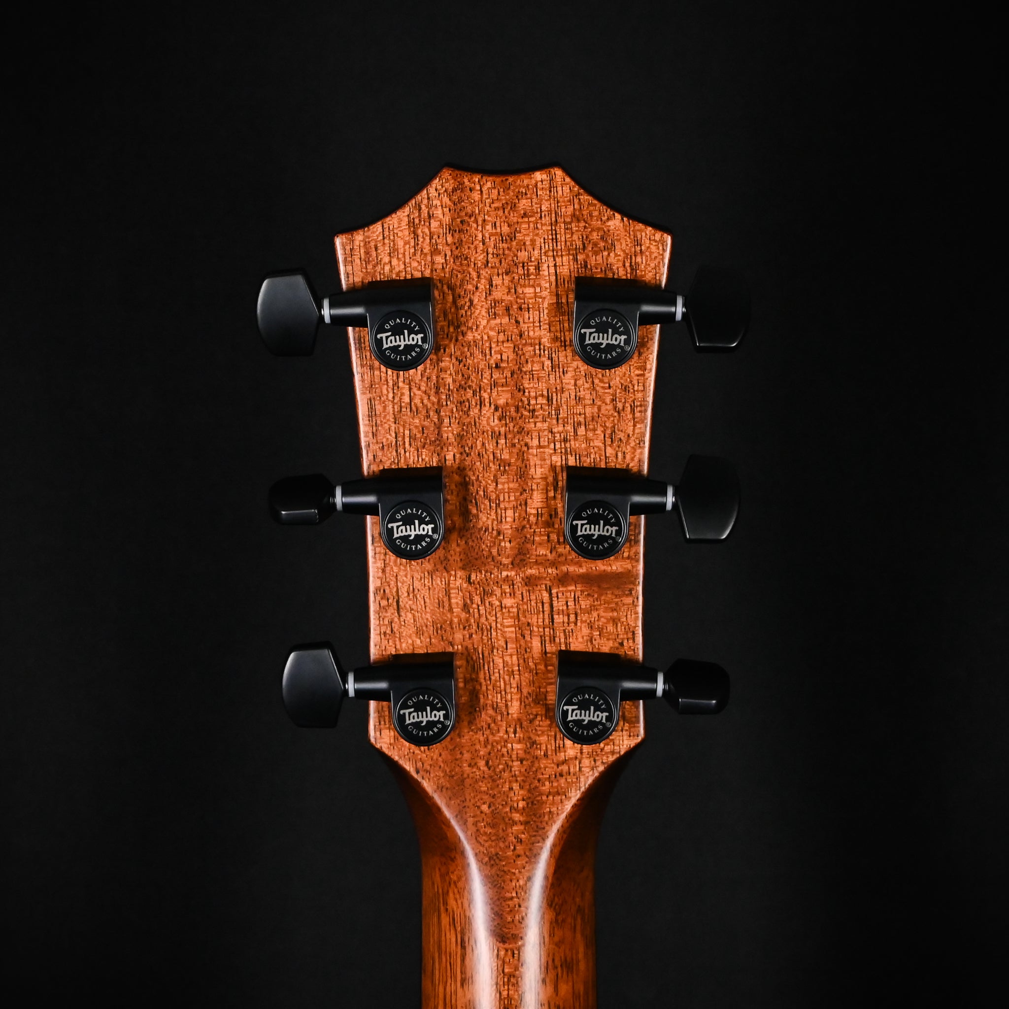 Taylor Next Generation 324ce w/ Neo-Tropical Mahogany Top & Sapele Back and Sides- Natural 2025 (1212025056)