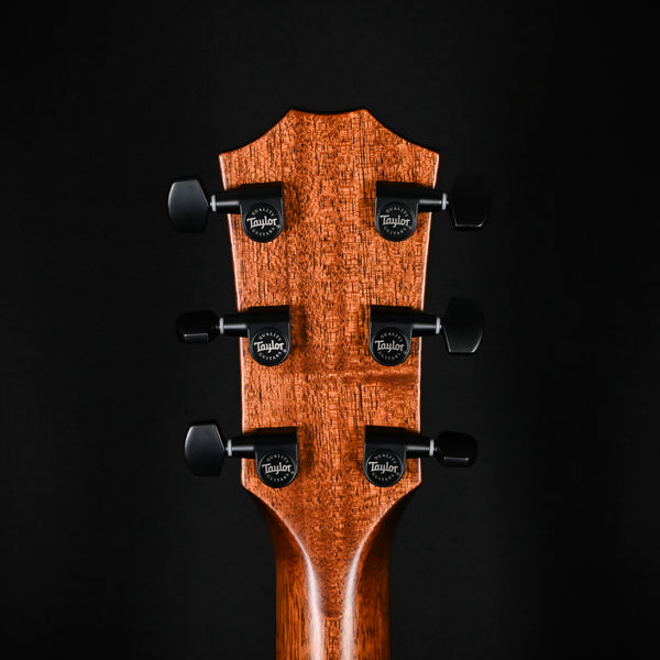 Taylor 324ce w/ Neo-Tropical Mahogany Top & Tropical Mahogany Back and Sides- Natural 2025 (1212025056)