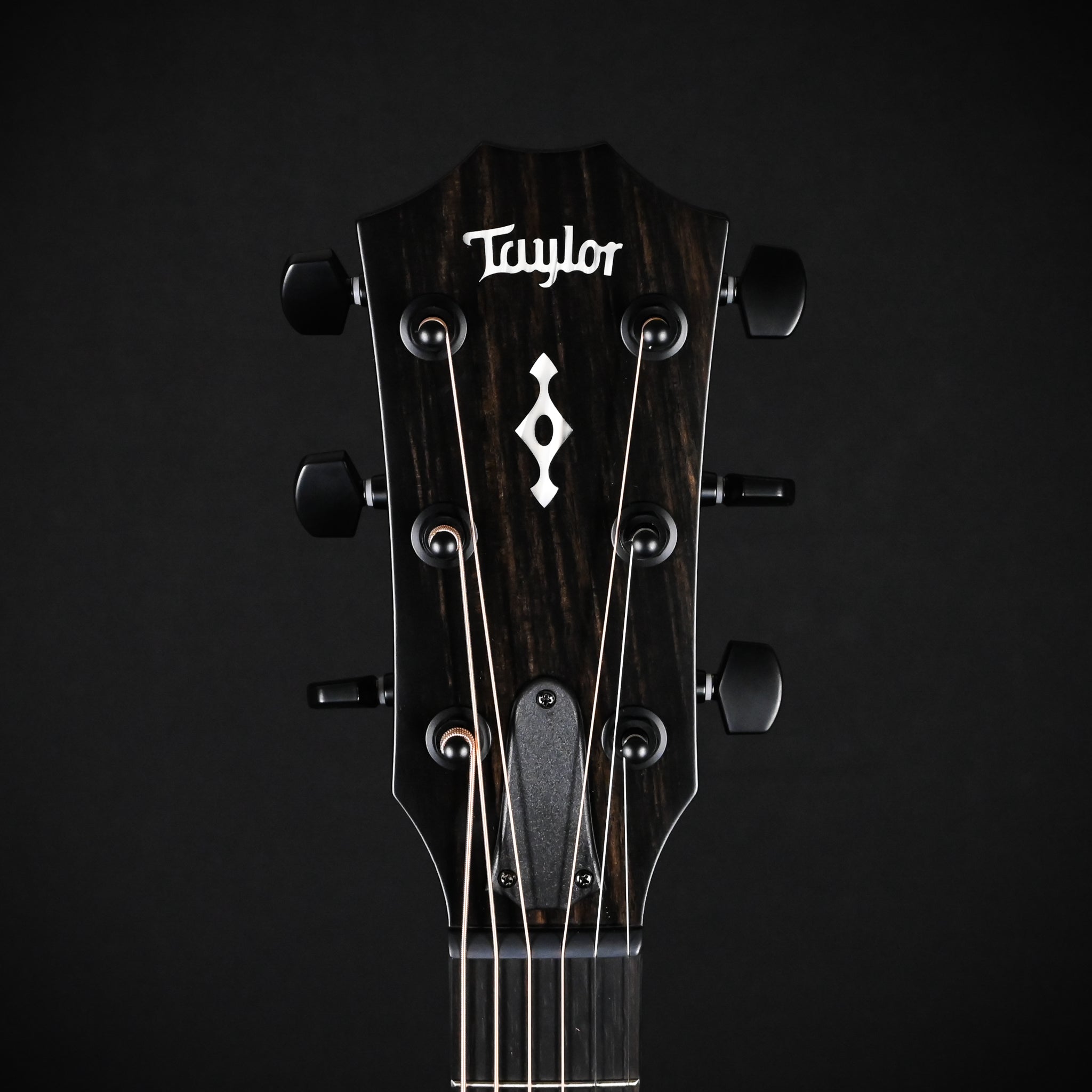 Taylor Next Generation 324ce w/ Neo-Tropical Mahogany Top & Sapele Back and Sides- Natural 2025 (1212025056)
