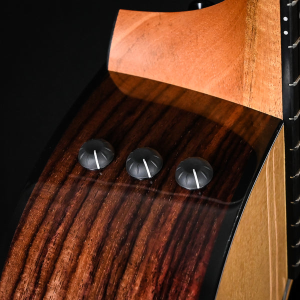 Taylor 214ce Plus w/ Torrefied Spruce Top & Indian Rosewood Back and Sides- Natural 2025 (2212085419)