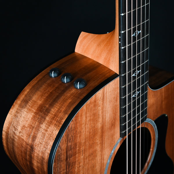 Taylor Custom 224CE K DLX - Koa (2202084404)