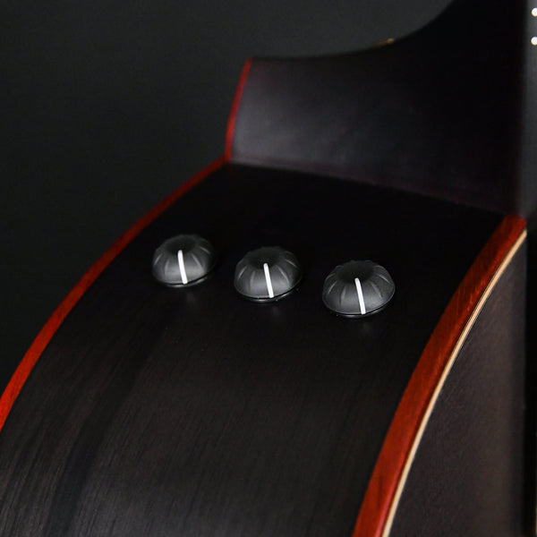 Taylor Custom Shop Grand Auditorium Lutz Spruce Black Limba 2023 (1207253125)