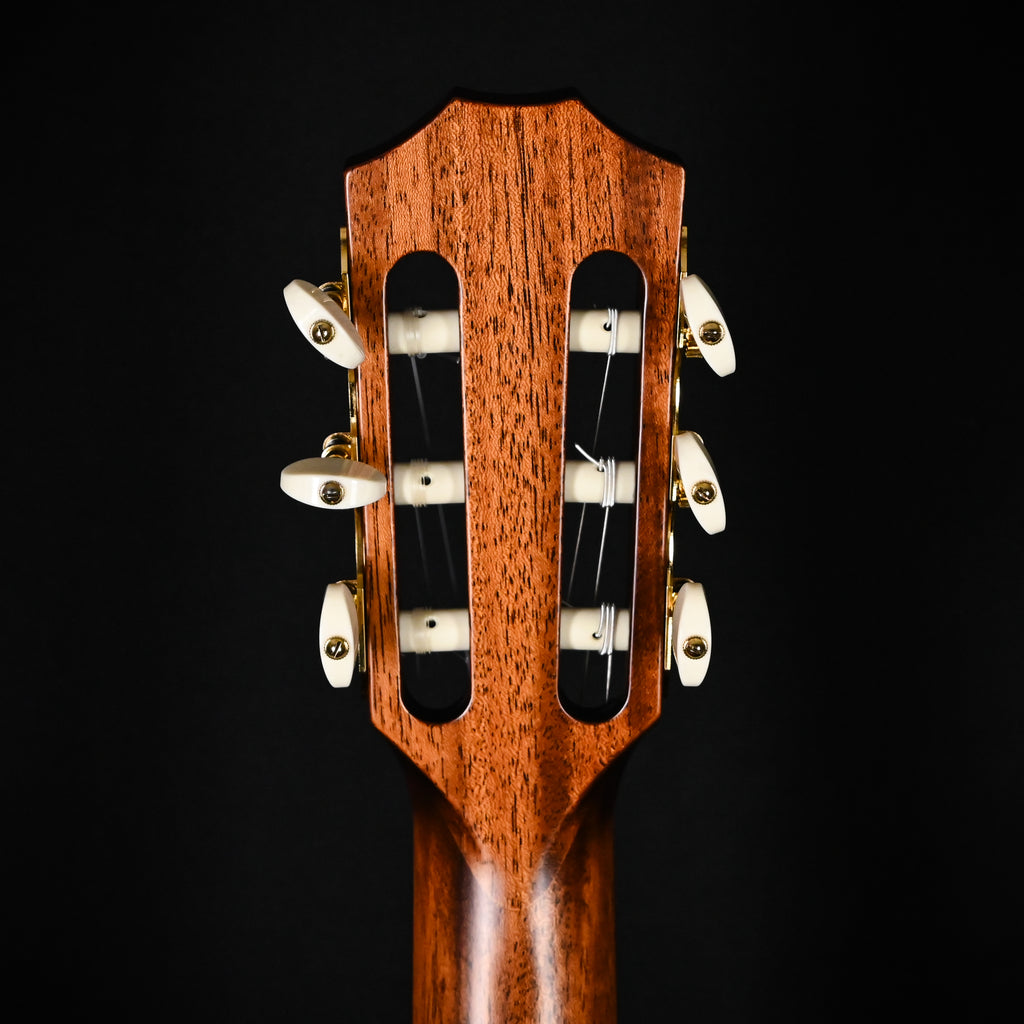 Taylor Jason Mraz Signature Model (JMSM) Nylon w/ Western Red Cedar Top & Indian Rosewood Back and Sides Acoustic-Electric Guitar 2026 (1201146085)