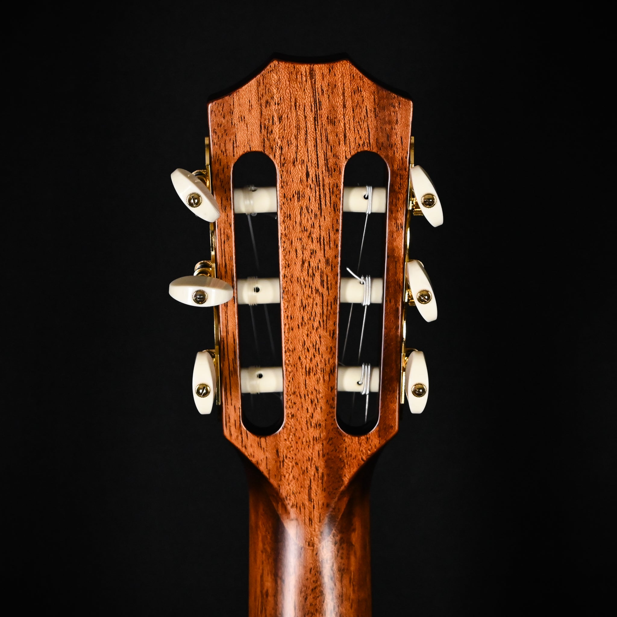 Taylor Jason Mraz Signature Model (JMSM) Nylon w/ Western Red Cedar Top & Indian Rosewood Back and Sides Acoustic-Electric Guitar 2026 (1201146085)