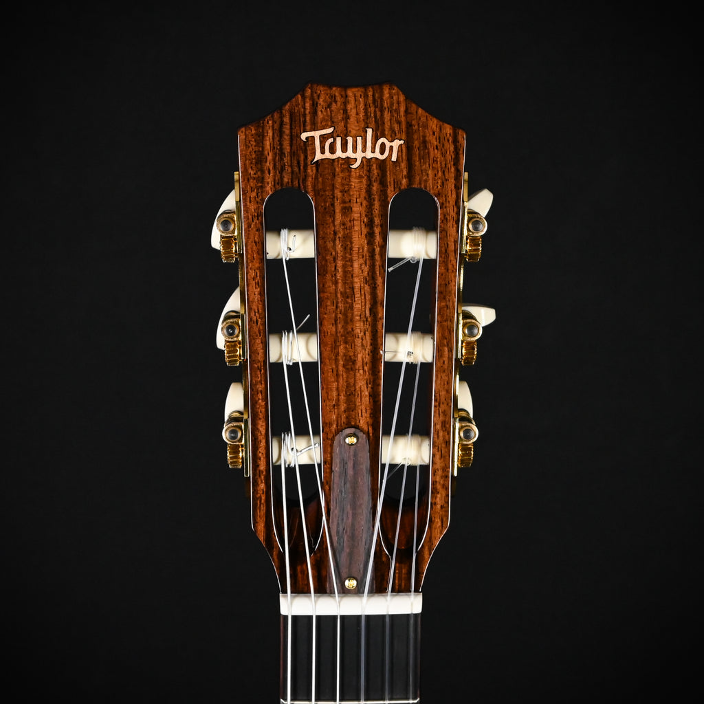 Taylor Jason Mraz Signature Model (JMSM) Nylon w/ Western Red Cedar Top & Indian Rosewood Back and Sides Acoustic-Electric Guitar 2026 (1201146085)