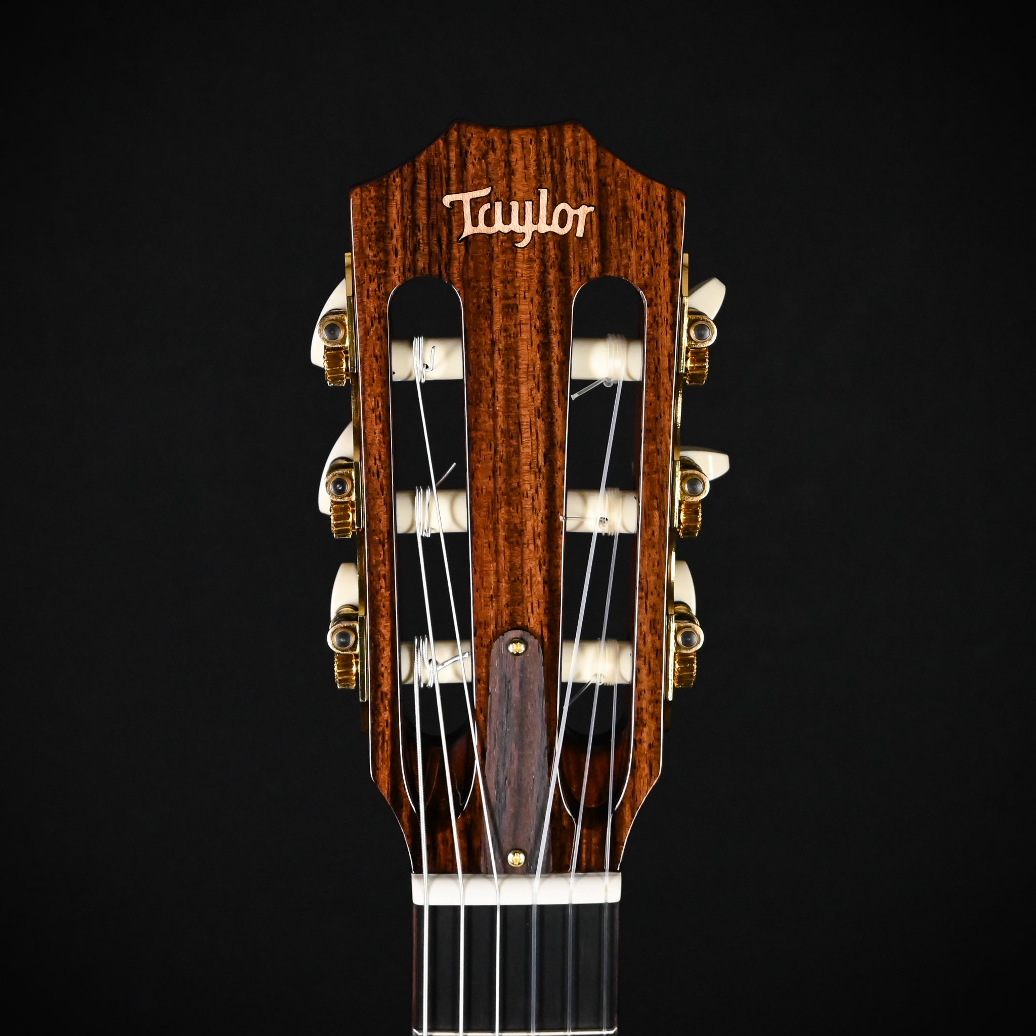 Taylor Jason Mraz Signature Model (JMSM) Nylon w/ Western Red Cedar Top & Indian Rosewood Back and Sides Acoustic-Electric Guitar 2026 (1201146085)