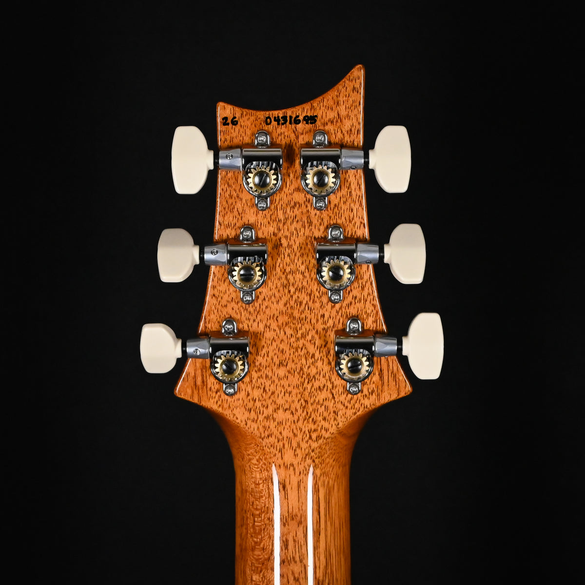 PRS Custom 24 "Birds of a Feather" Limited Edition- Charcoal Microburst 2026 (0431695)