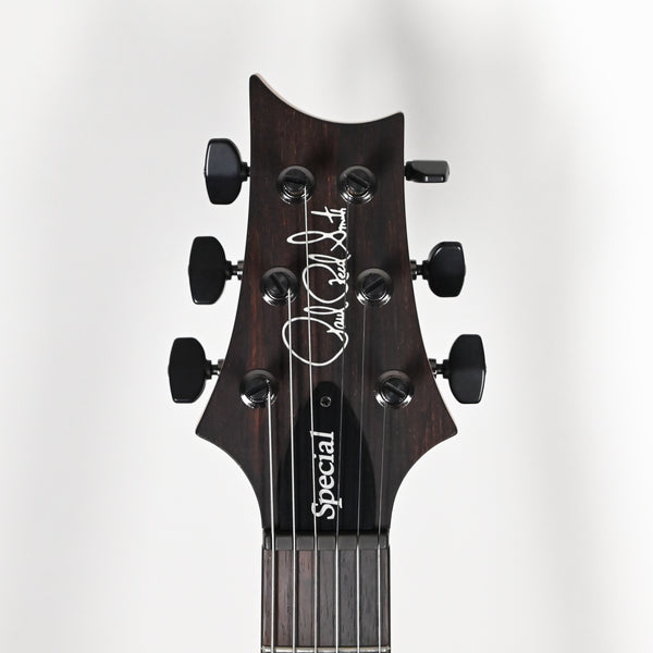 PRS Special Semi-Hollow Wood Library w/ 10-Top & Brazilian Rosewood Electric Guitar- Eriza Verde 2025 (0393785)