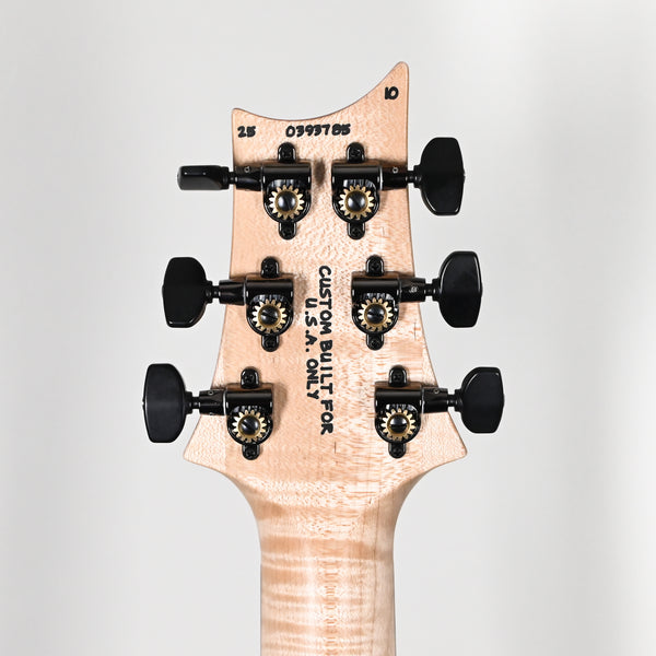 PRS Special Semi-Hollow Wood Library w/ 10-Top & Brazilian Rosewood Electric Guitar- Eriza Verde 2025 (0393785)