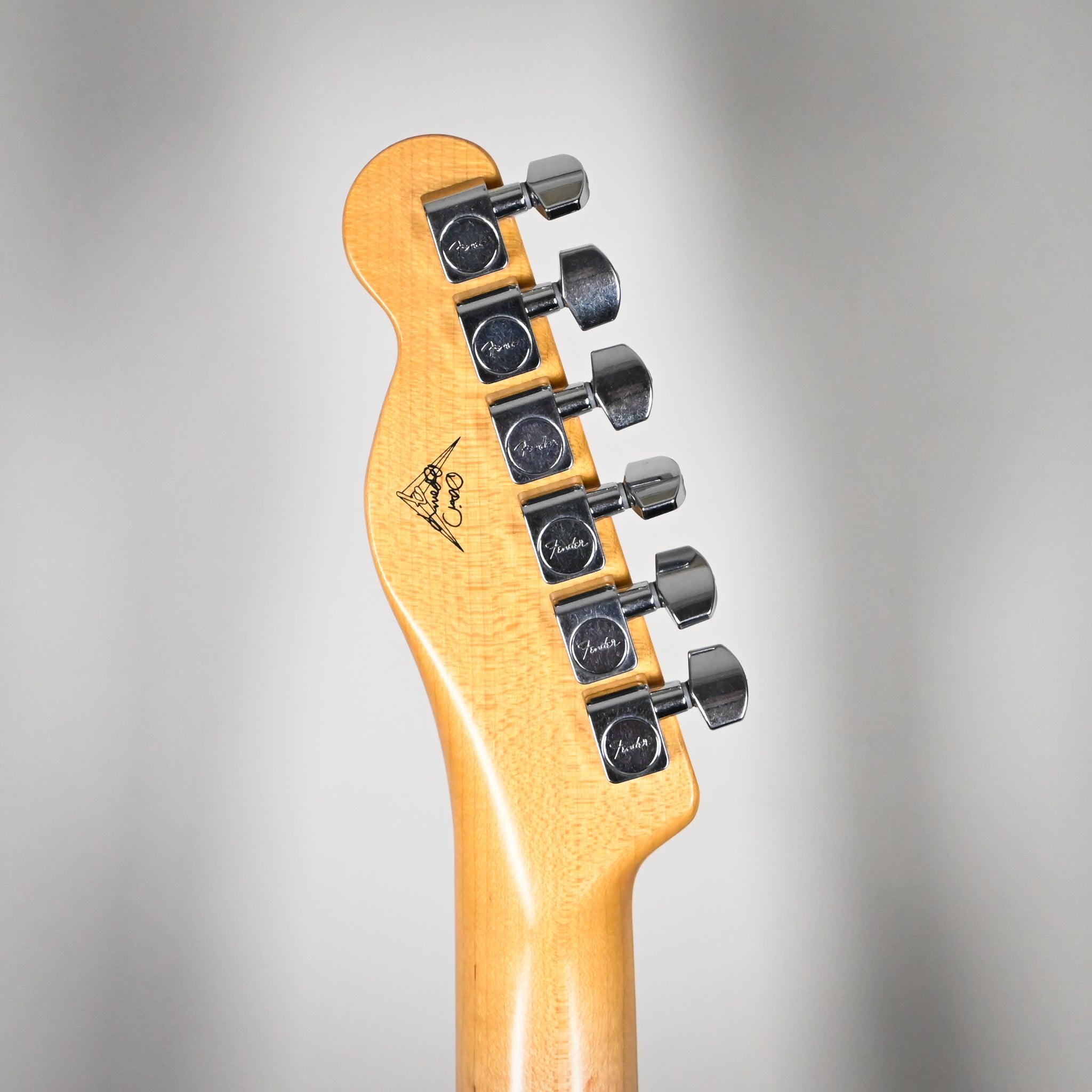 Fender Custom Shop Masterbuilt David Brown La Cabronita Especial 2.0 Telecaster Relic– Black 2023 (R129440)