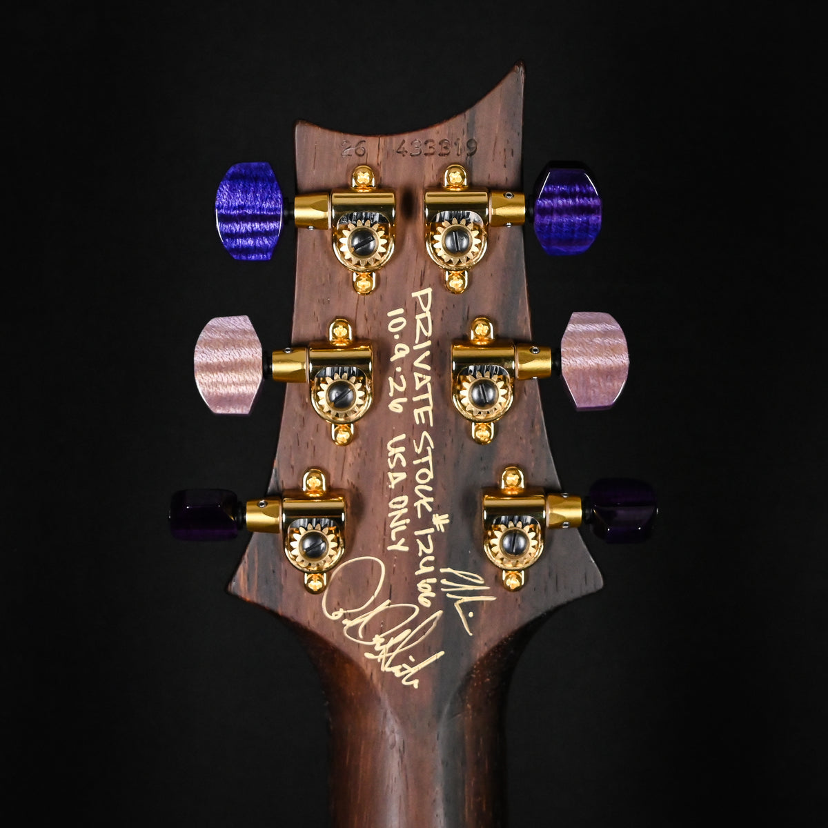 PRS Private Stock #12466 Custom 24 w/ Brazilian Rosewood Neck- Purple Glow 2026 (0433319)