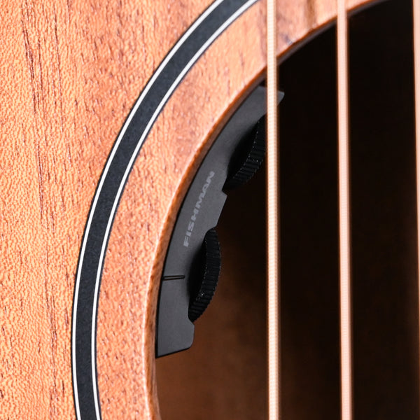 Taylor 24ce Acoustic Guitar- Natural 2025  (2209105358)