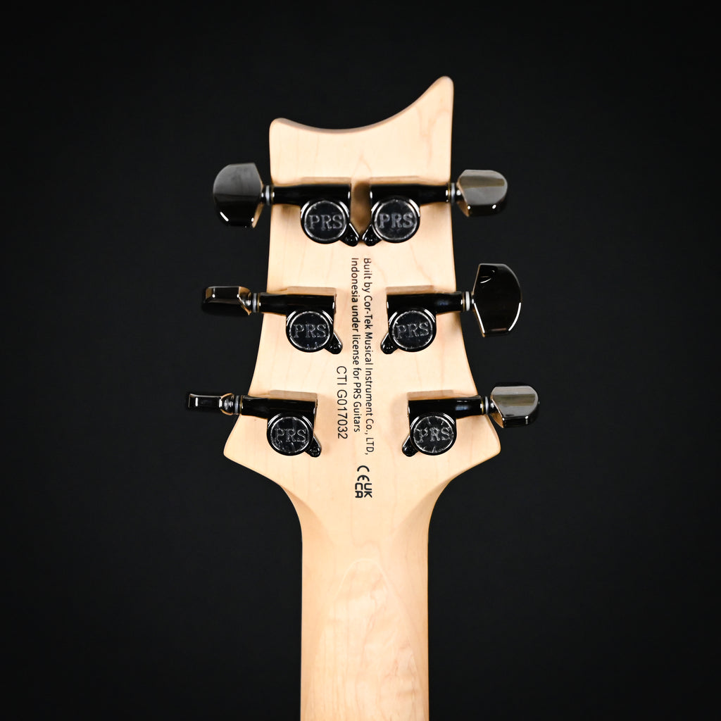 PRS PRS SE Sandblasted CE 24 Limited Edition - Sandblasted Blue (CTIG017032)