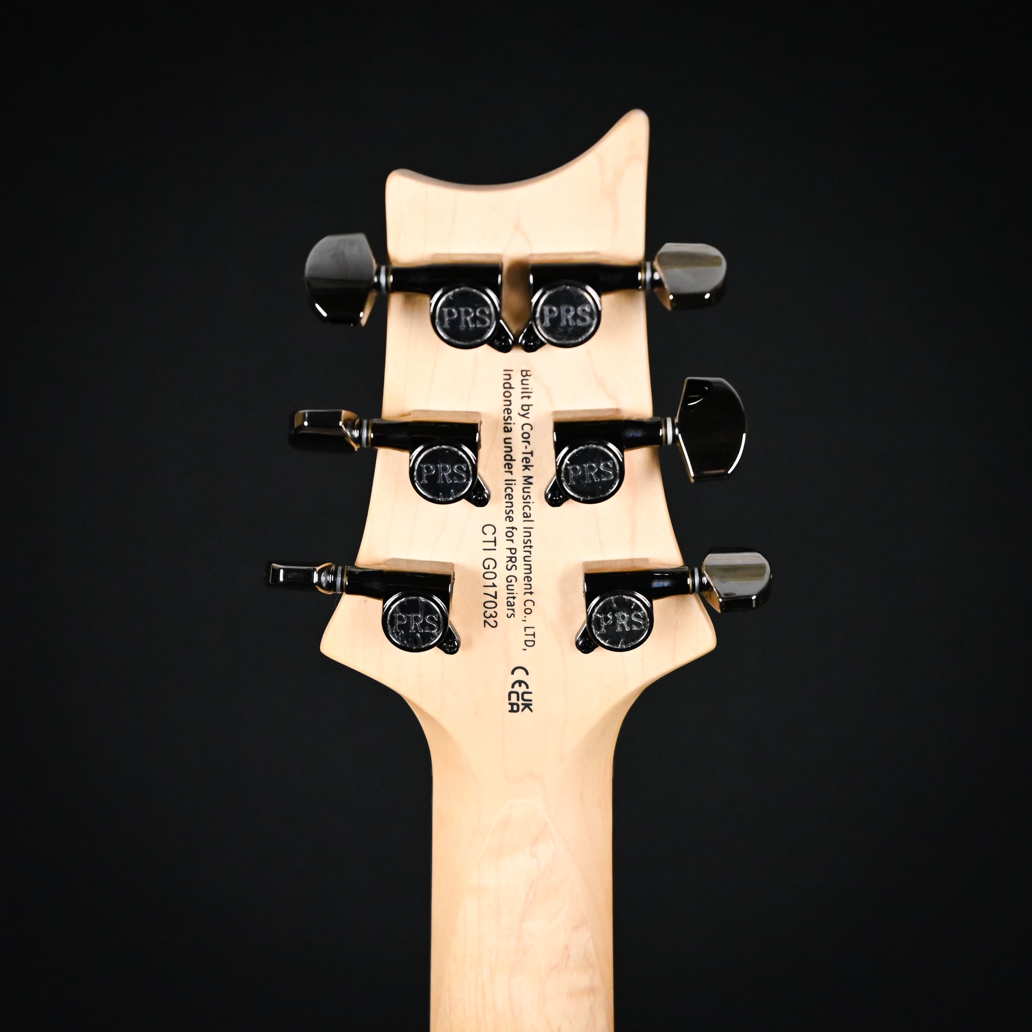 PRS PRS SE Sandblasted CE 24 Limited Edition - Sandblasted Blue (CTIG017032)