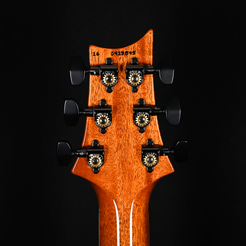 PRS McCarty 594 Electric Guitar- Sprayer's Choice 2026 (0423845)