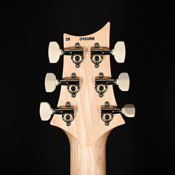 PRS CE 24 Special Electric Guitar- Sprayer's Choice 2026 (0421815)