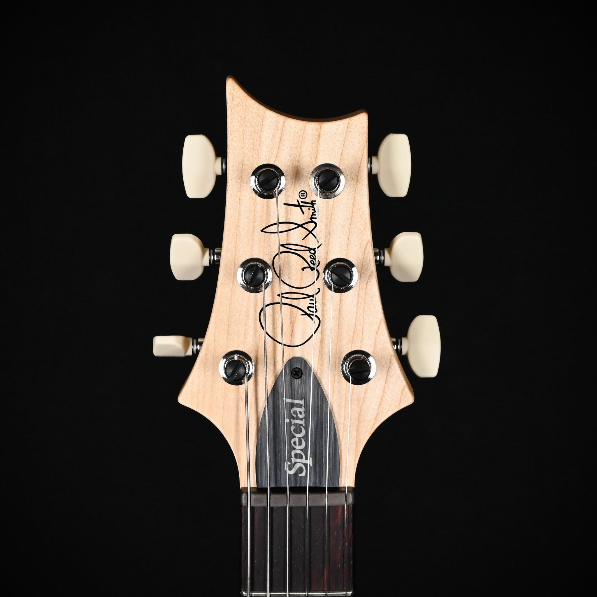 PRS CE 24 Special Electric Guitar- Sprayer's Choice 2026 (0421815)