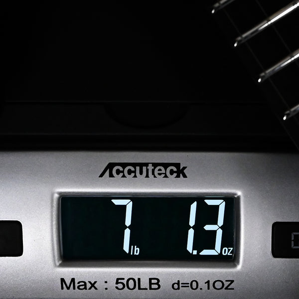 Ernie Ball Music Man BFR John Petrucci Majesty 7-String (No.21 of 50)- Malachite 2025 (M019231)