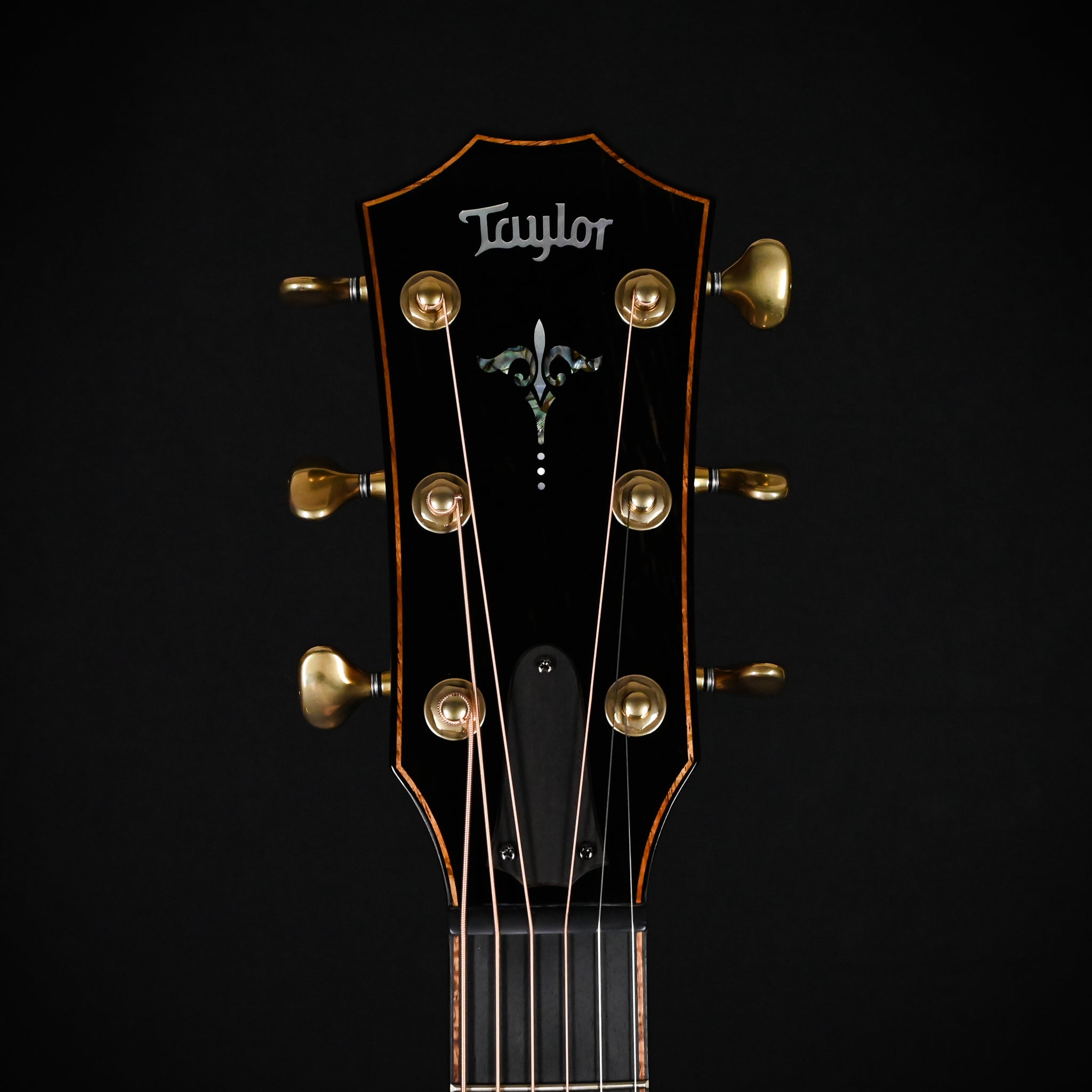 Taylor Next Generation Builder's Edition 914ce w/ Lutz Spruce Top & Indian Rosewood Back and Sides Acoustic/ Electric- Natural 2026 (1206096030)